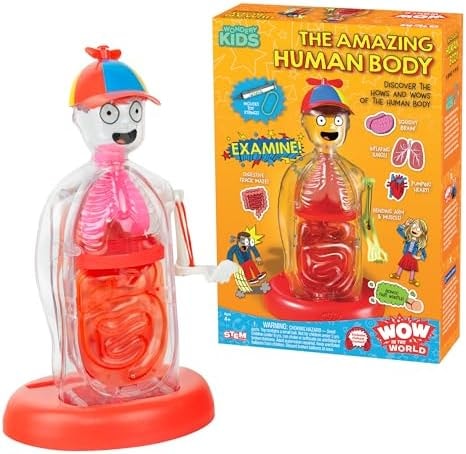 Wow in The World The Amazing Human Body Kit by Thames & Kosmos, Interactive Mechanical Anatomy Model w/Pumping Heart, Lungs, Digestive Tract, Glow-in-The-Dark Bones, Brain & More, Science for Ages 4+