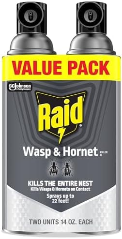 Raid Wasp & Hornet Killer Bug Spray, Kills Entire Nest, 14 oz, 2 Count
